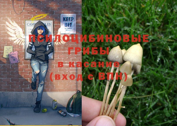 а пвп мука Михайловка