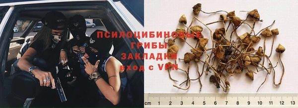 гидра Михайлов