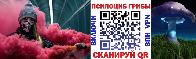 Псилоцибиновые грибы мицелий  KRAKEN как зайти  Тверь  купить наркотик 
