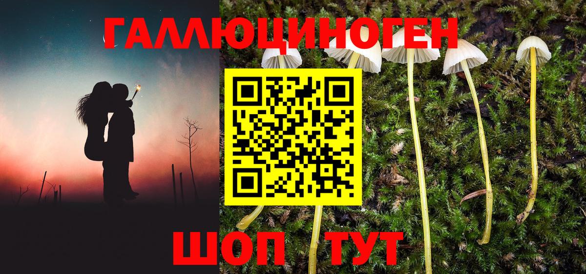 Галлюциногенные грибы Cubensis Тверь