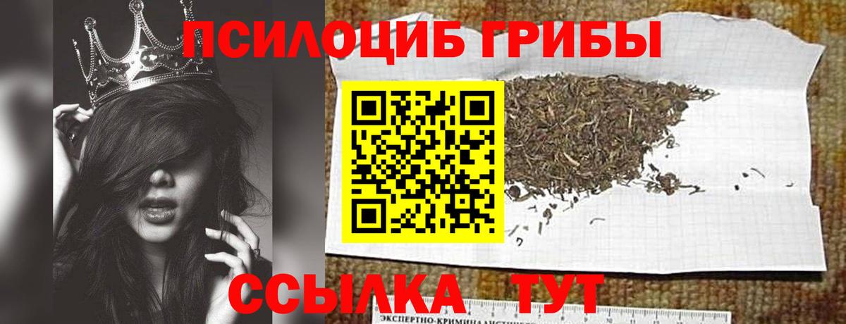 Галлюциногенные грибы Magic Shrooms  Галлюциногенные грибы Cubensis  Тверь  Вход с VPN 