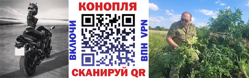 Конопля AK-47 Тверь